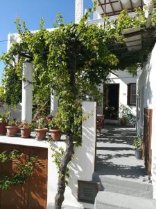 Manu's (Great GrandMother's) House Skyros Greece