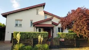 Willa w Kórniku - blisko Poznania - 扎涅梅希尔