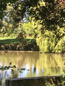 Appartements Gite de l etang du moulin du pre : photos des chambres