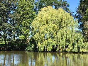 Appartements Gite de l etang du moulin du pre : photos des chambres
