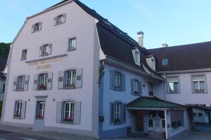 Hotel Hotel Restaurant Zum Ziel Grenzach-Wyhlen Německo