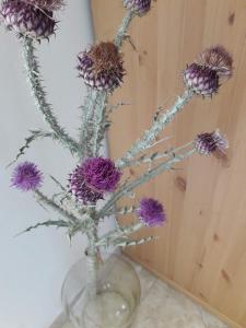 Holiday house on island of Krk