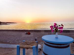 Meltemi Beach Apartments Lasithi Greece