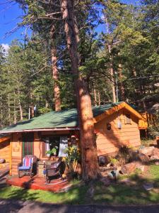 The Bighorn Sheep Cabin 6 room in Pine Haven Resort
