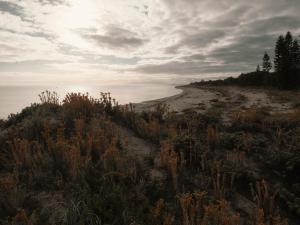 FortyOne - Oceanside Retreat Busselton