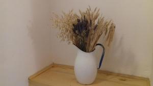 Authentic Istria&pet friendly apartment Banko near Rovinj 