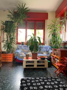 B&B Il tempo del sogno con cani e gatti Pet&Breakfast