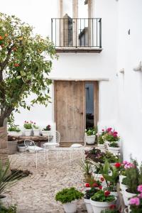 La Donaira