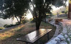 Chalet in the Forest Achaia Greece