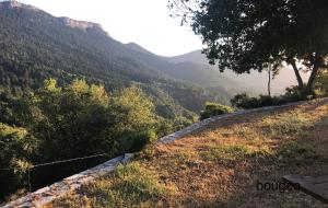 Chalet in the Forest Achaia Greece