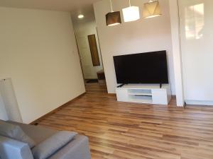 Apartament Nad Łomnicą