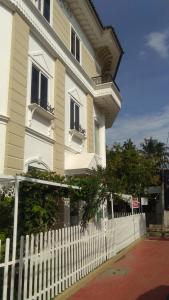 Daffodils Spice Court