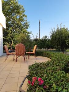 Swan House Panoramic View - Near the sea