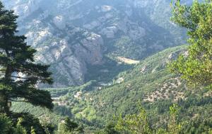 Chalet in the Forest Achaia Greece