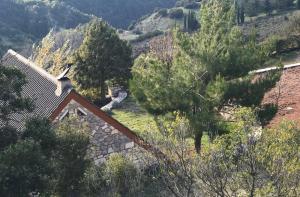 Chalet in the Forest Achaia Greece