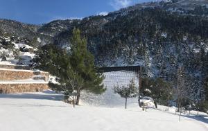 Chalet in the Forest Achaia Greece