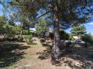 Villas Luring Villa in Pouzols Minervois with Pool : photos des chambres