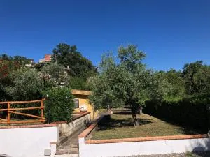 Casa Vacanze Nonna Suocera - Foria