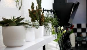 Modern Apartment in Primošten