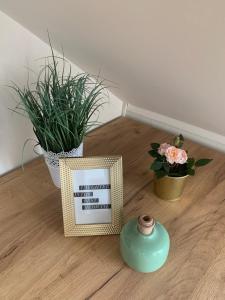 Gem in Győr - free parking