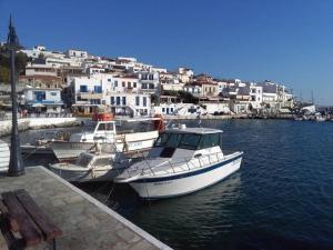 Villa Dora Studios 1 Andros Greece