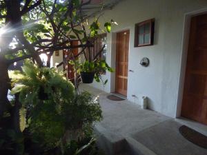 Tsumeb Backpackers & Safari