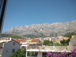 Apartments Viskovic