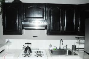Plush Spacious 1 bedroom apt Williamsburg