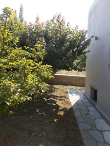Three Little Roses Country House Tinos Greece