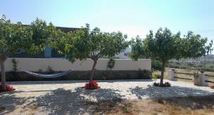 Three Little Roses Country House Tinos Greece