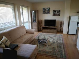 Appartamento Apartment Richard PineWood Vy&scaron;n&eacute; Ružbachy Slovacchia