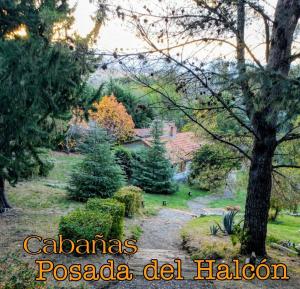 Posada del Halcón - Cabañas y Suites
