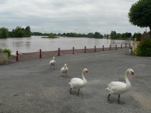 Maisons de vacances Gites Lacale face a la riviere : photos des chambres