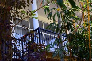 Raveena Guest House