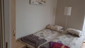 livingpalanga- Meta12