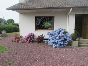 Maisons de vacances La Hugotiere : photos des chambres