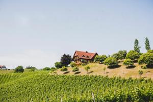 Hohler Appartement Gamlitz