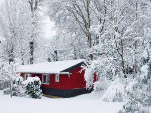 B&B / Chambres d'hotes Le Cabanon de Chessy : photos des chambres