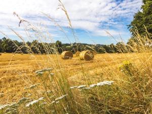 Maisons de vacances A comfortable way to go back in time to find space tranquillity and nature : photos des chambres