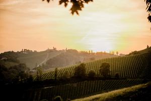 Hohler Appartement Gamlitz