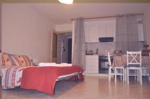 Apartments Il Delfino