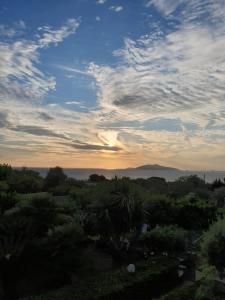 Oasi di Villa Damecuta