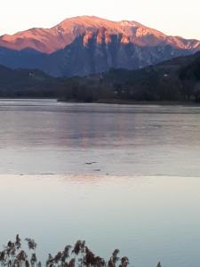 Un nido sul lago
