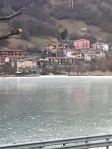 Un nido sul lago
