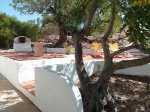 Algarve booking Casa Alfarrobeira Benagil Caves private parking airco heated private pool - AL