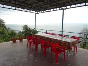 гостевой дом мимоза - Tsandrypsh