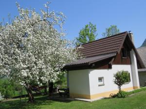 Počitniška hiška Jager Čezsoča