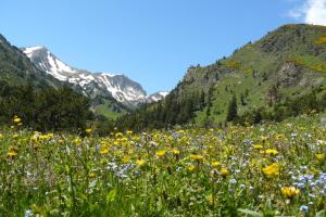 B&B / Chambres d'hotes Gite de Llo Eco-hebergement de montagne : photos des chambres