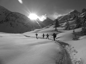 B&B / Chambres d'hotes Gite de Llo Eco-hebergement de montagne : photos des chambres