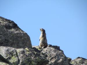 B&B / Chambres d'hotes Gite de Llo Eco-hebergement de montagne : photos des chambres